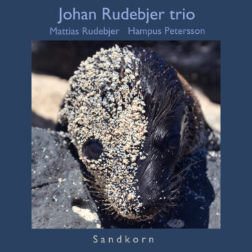 Nytt album med Johan Rudebjer trio!